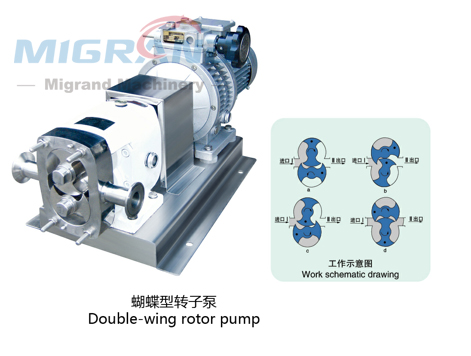 GD-150A Feeding pump (rotor pump)-1 GD-150A Besleme pompası (rotorlu pompa)-1
