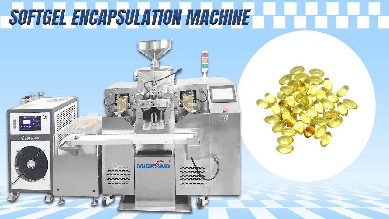 4 set kalıp ile Fas Softgel kapsül üretim hattına dışa aktarın