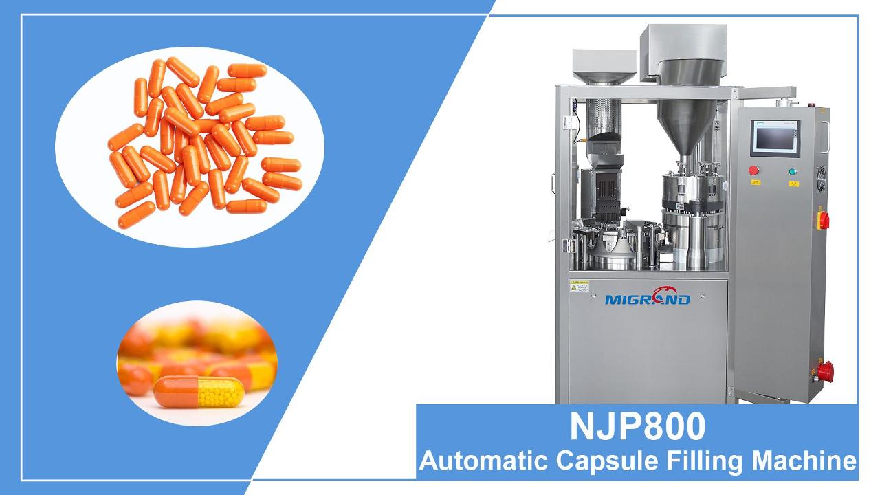 Almanya NJP-800 Otomatik Kapsül Doldurma Makinesi'ne Dışa Aktarma